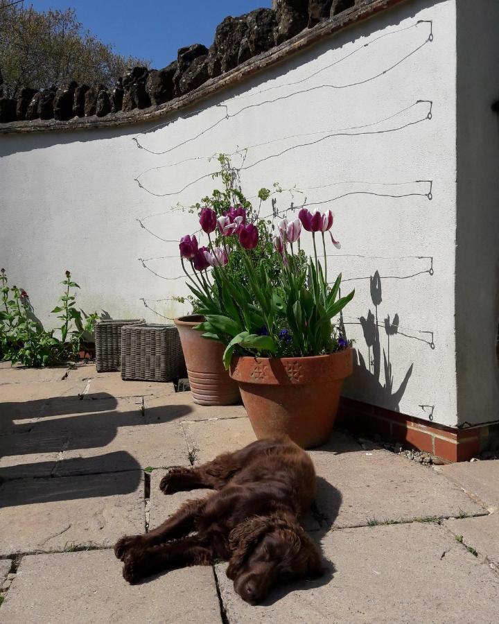 Whichford Wayside House B&B מראה חיצוני תמונה