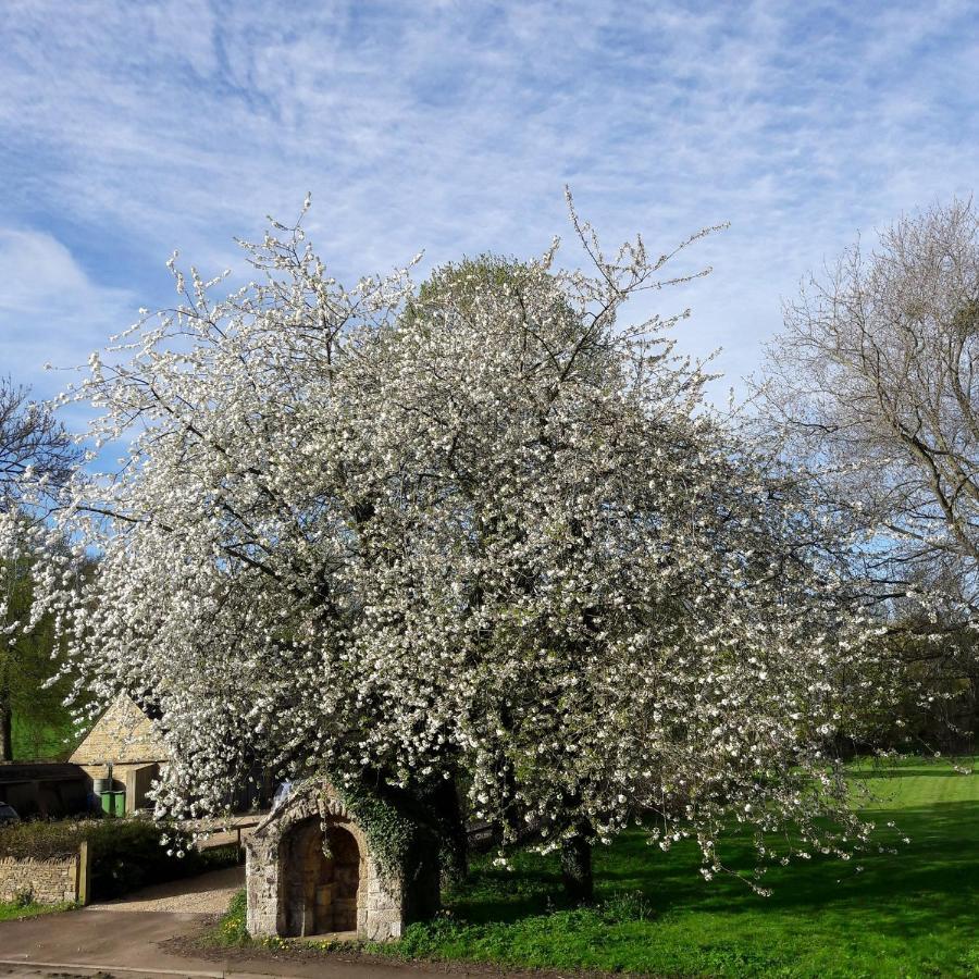 Whichford Wayside House B&B מראה חיצוני תמונה